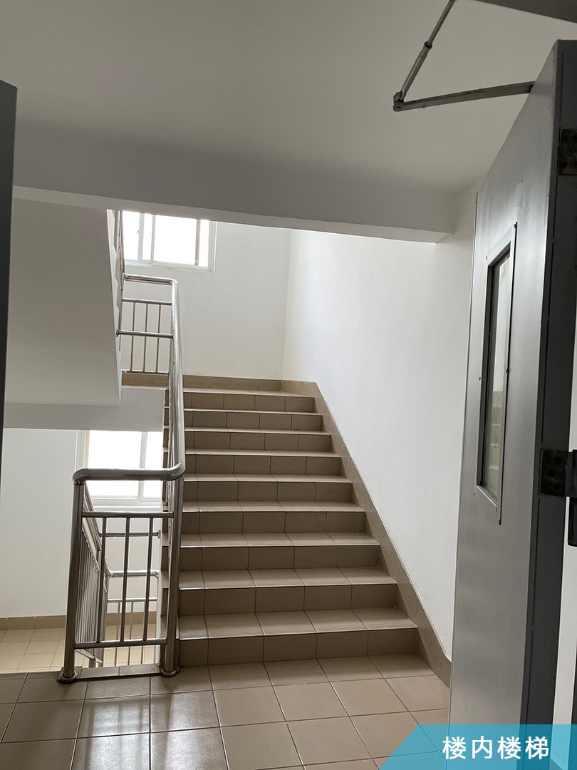 3、樓內樓梯.jpg